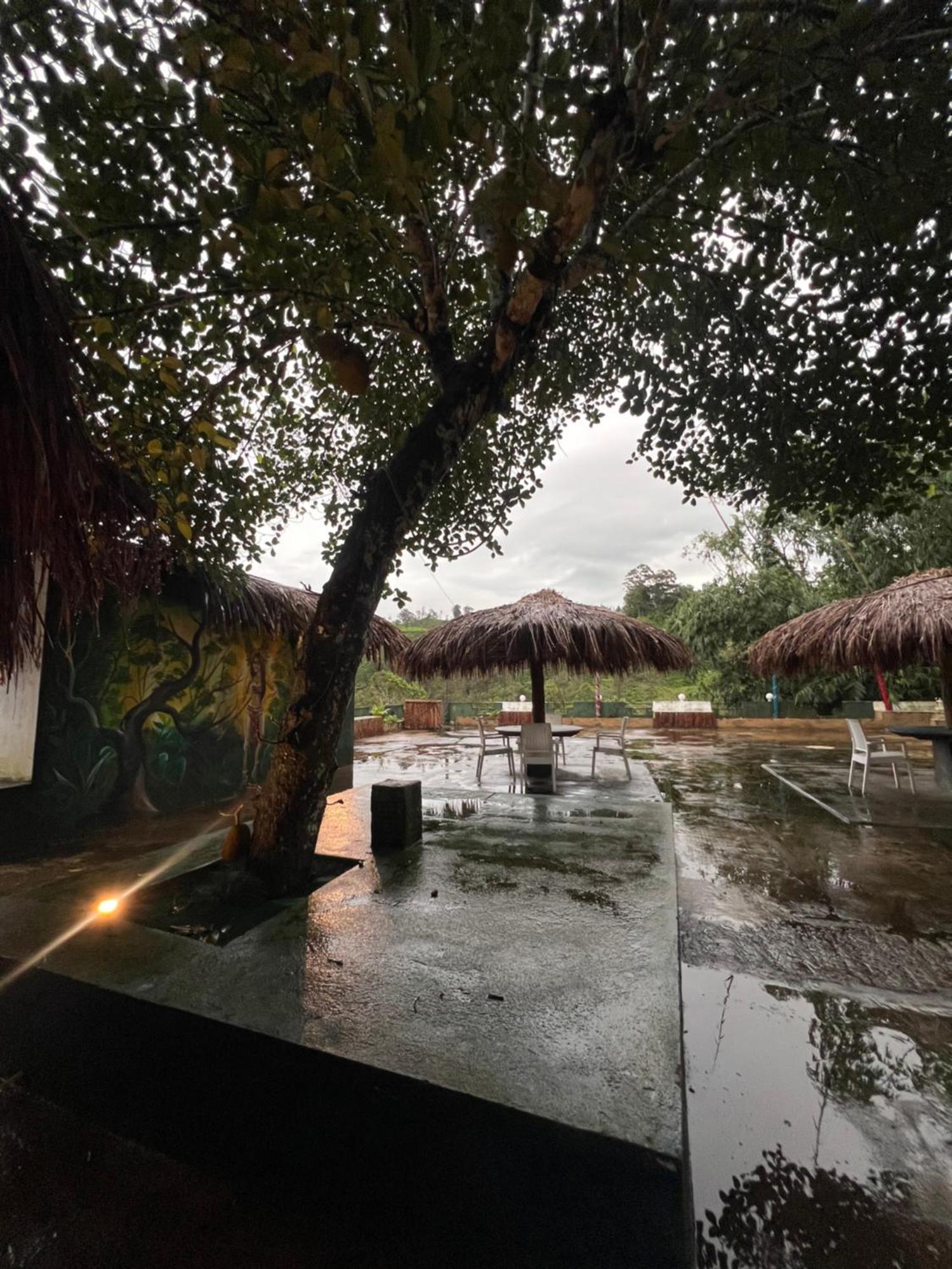 Ceylon Happy Laugh - Ella Hostel Ngoại thất bức ảnh