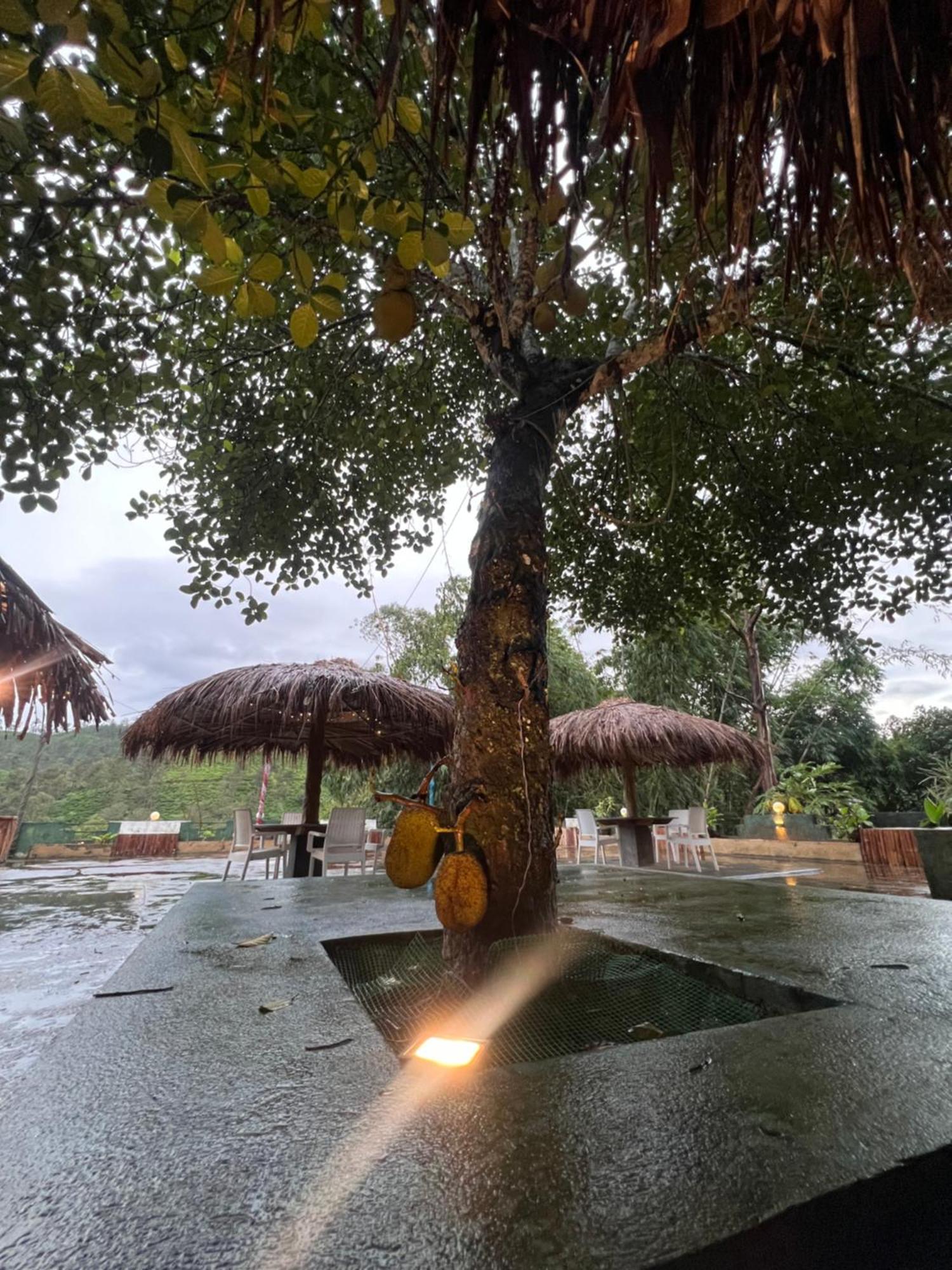 Ceylon Happy Laugh - Ella Hostel Ngoại thất bức ảnh